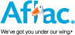 American Family Life Assurance Company of Columbus (AFLAC) jobs