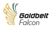 Goldbelt Falcon, LLC jobs