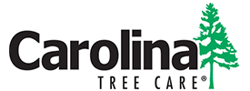 Carolina Tree Care jobs