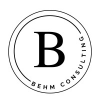 Behm Consulting LLC jobs